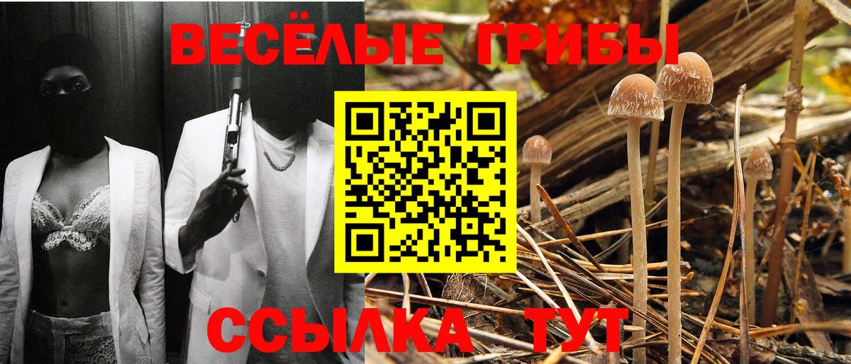 Псилоцибиновые грибы мицелий  Галлюциногенные грибы прущие грибы  Елизово  Вход с VPN 