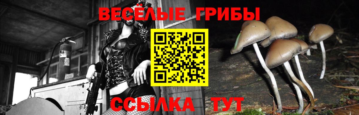 Галлюциногенные грибы Cubensis Елизово